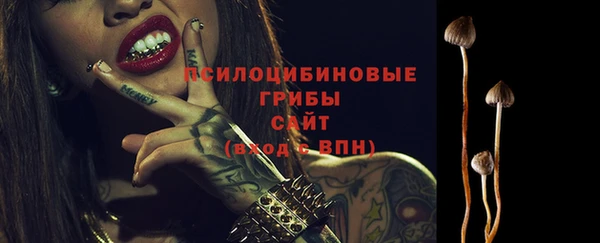 герыч Гусь-Хрустальный