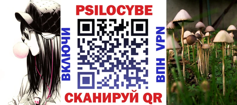 Псилоцибиновые грибы Cubensis  Купить закладки  Кудрово 