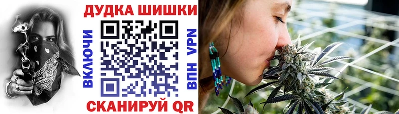 Купить закладки  Кудрово  Каннабис VHQ 